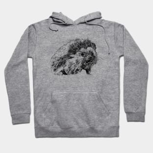 Hedgehog Ink Drawing Hoodie